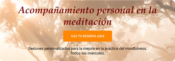 Acompañamiento personal en la meditación